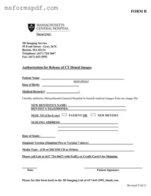 Free Massachusetts B Template in PDF