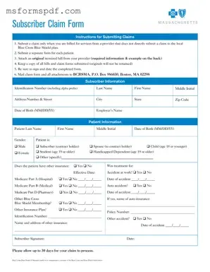 Free Massachusetts Claim Template in PDF